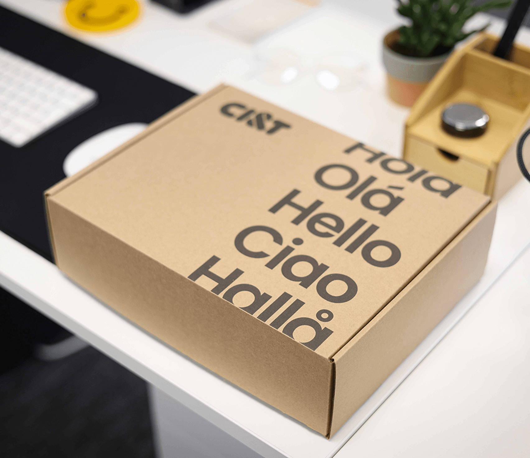 A photograph of our swag box with multiple language greetings printed on it