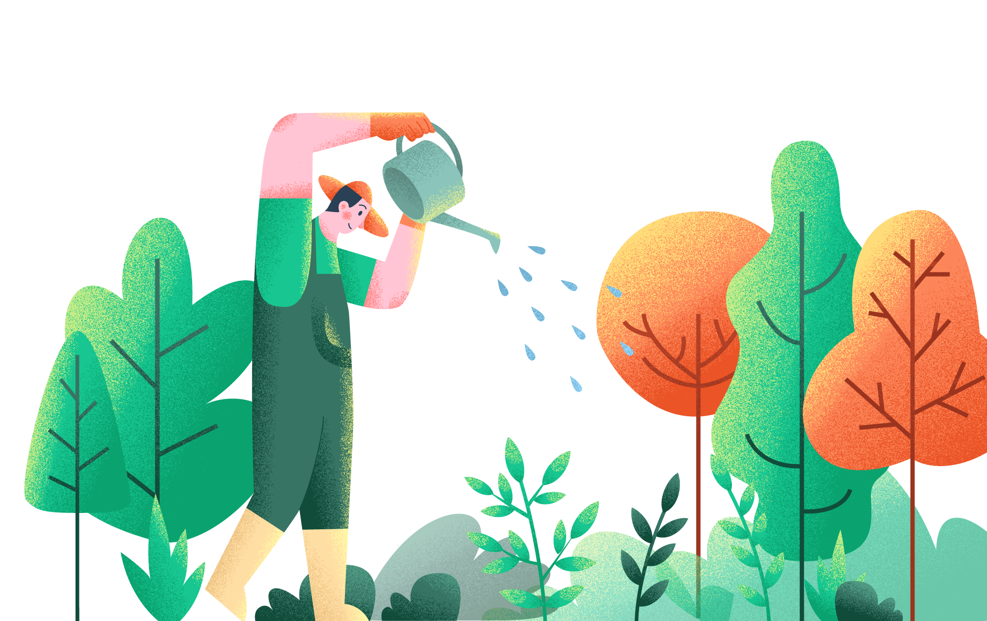 Image for watering the plants